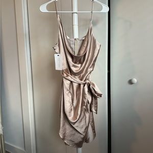 Saints and Secrets Satin Ruche Dress - Champagne